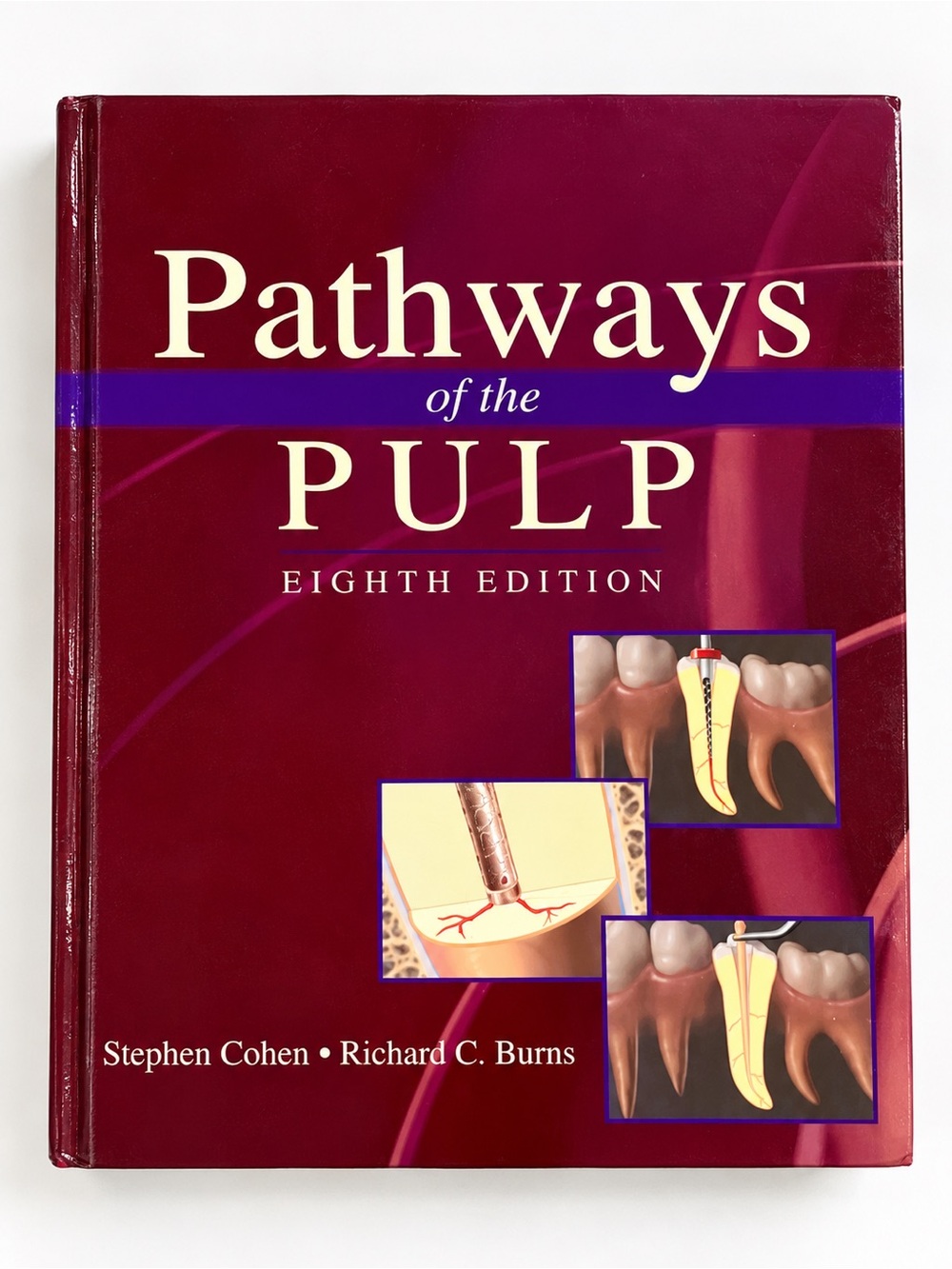 Pathways of the Pulp 8th Edition Cohen Burns Endodontics Dental Textbook